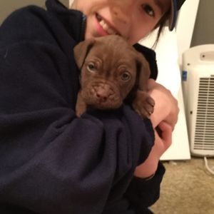 Meet your Posher, Reese